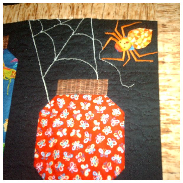 detail of spider